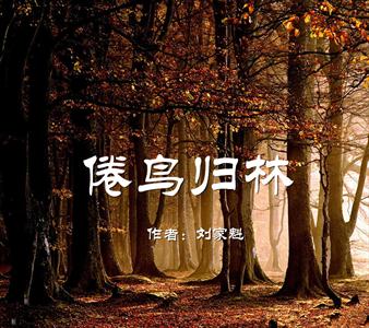 朗诵,倦鸟归林,仰望,倦鸟/归林