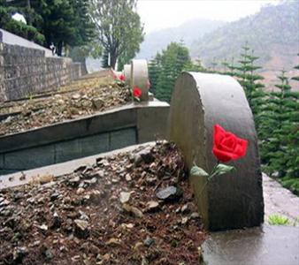 朗诵,墓碑上的957朵玫瑰,雨音朗诵,参战女兵