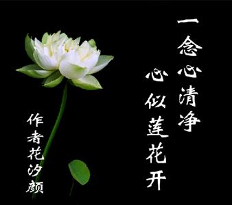朗诵,一念心清净，心似莲花开,一念心,清净